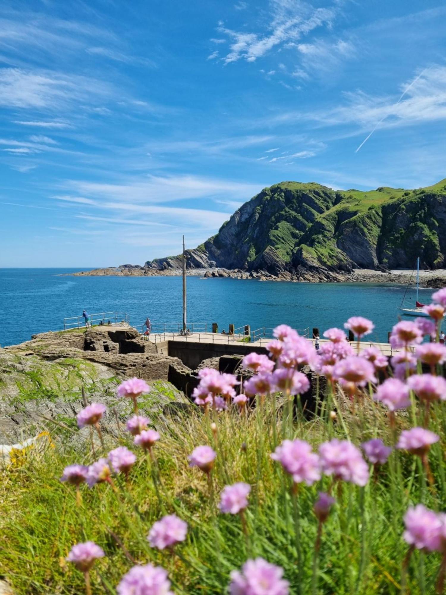 Kittiwake Ilfracombe Exterior foto