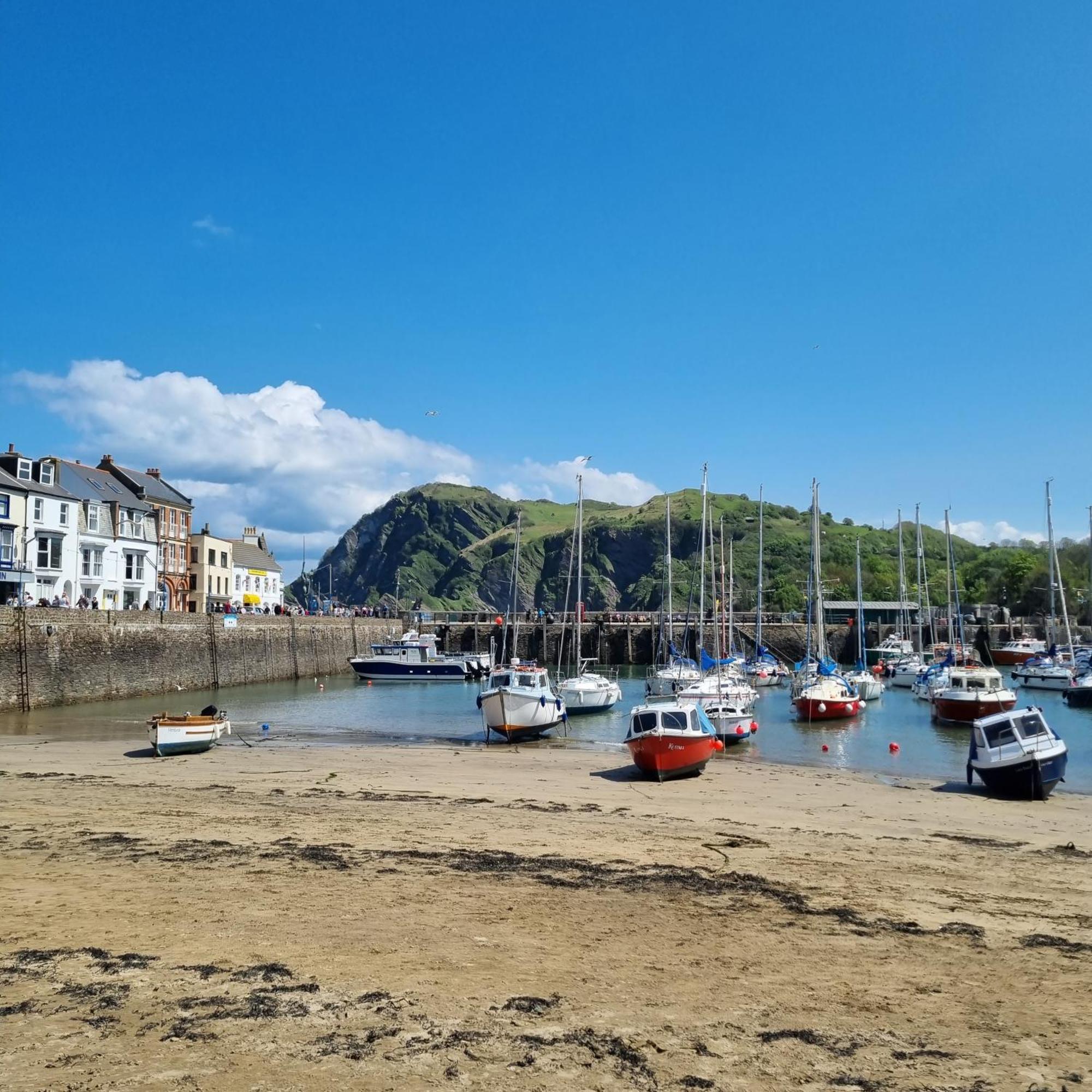 Kittiwake Ilfracombe Exterior foto